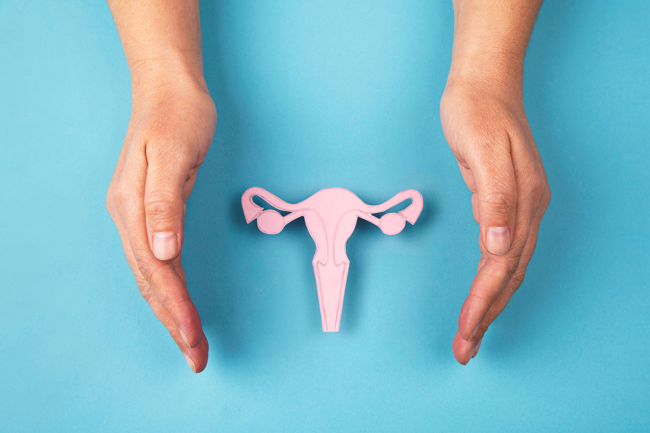 Aparato reproductor femenino