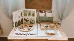 Mesa de observación Montessori