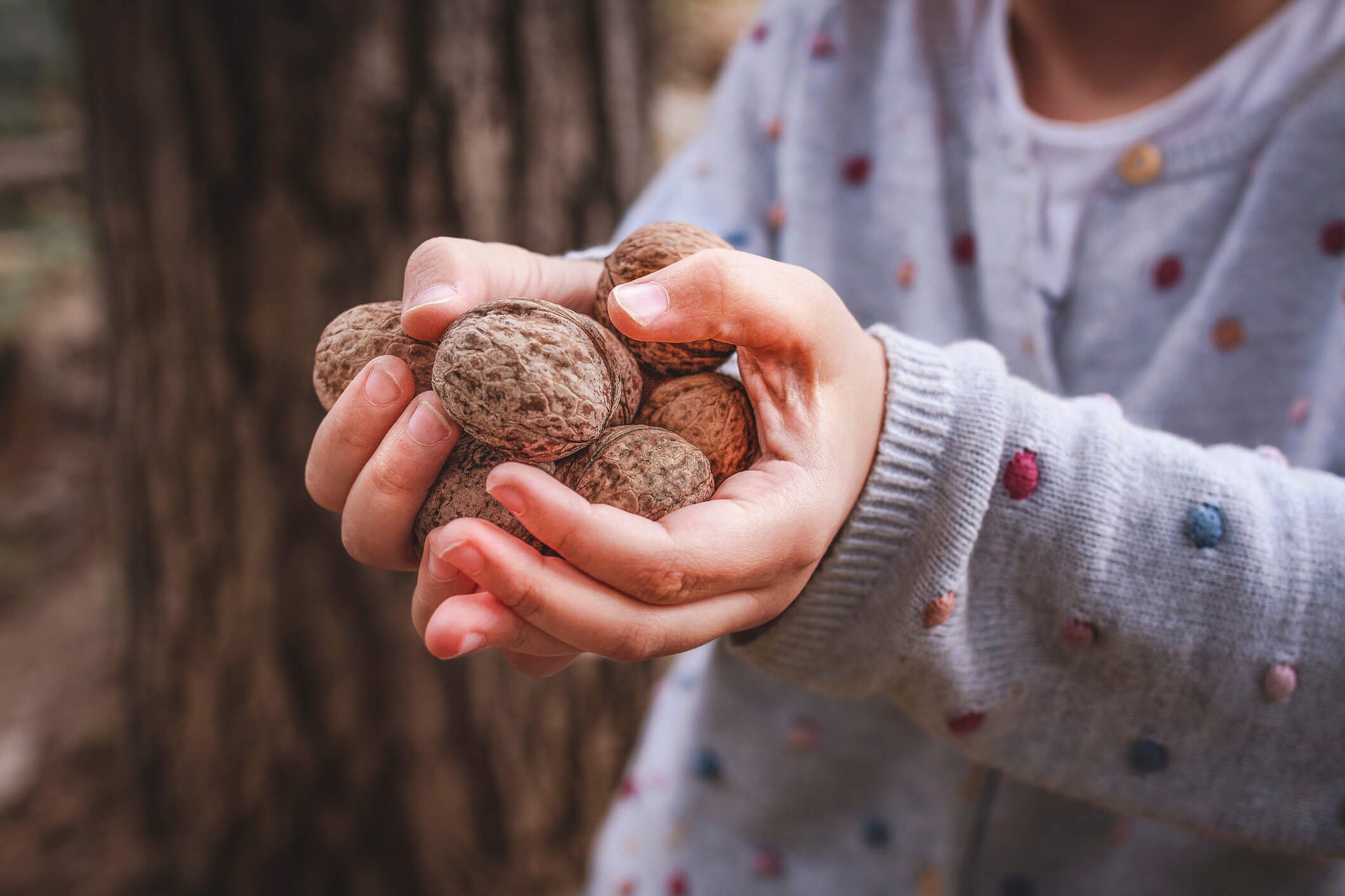 Niña con un puñado de nueces