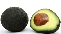 Plantar un hueso de aguacate paso a paso