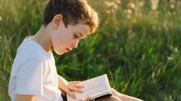 istockphoto-1425501371-612x612
