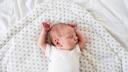 istockphoto-625892192-612x612