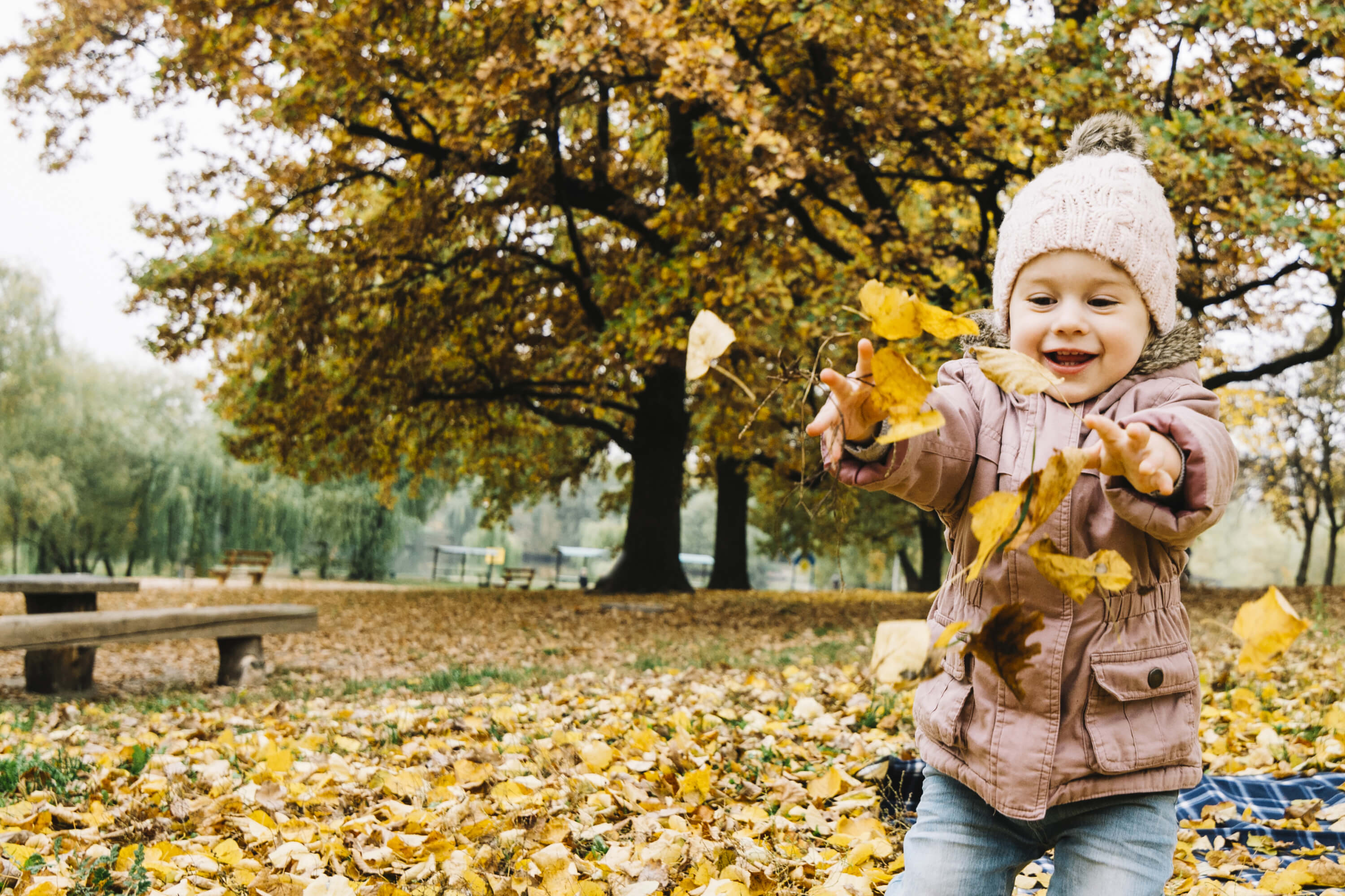 Cuentos sobre el otoño para niños