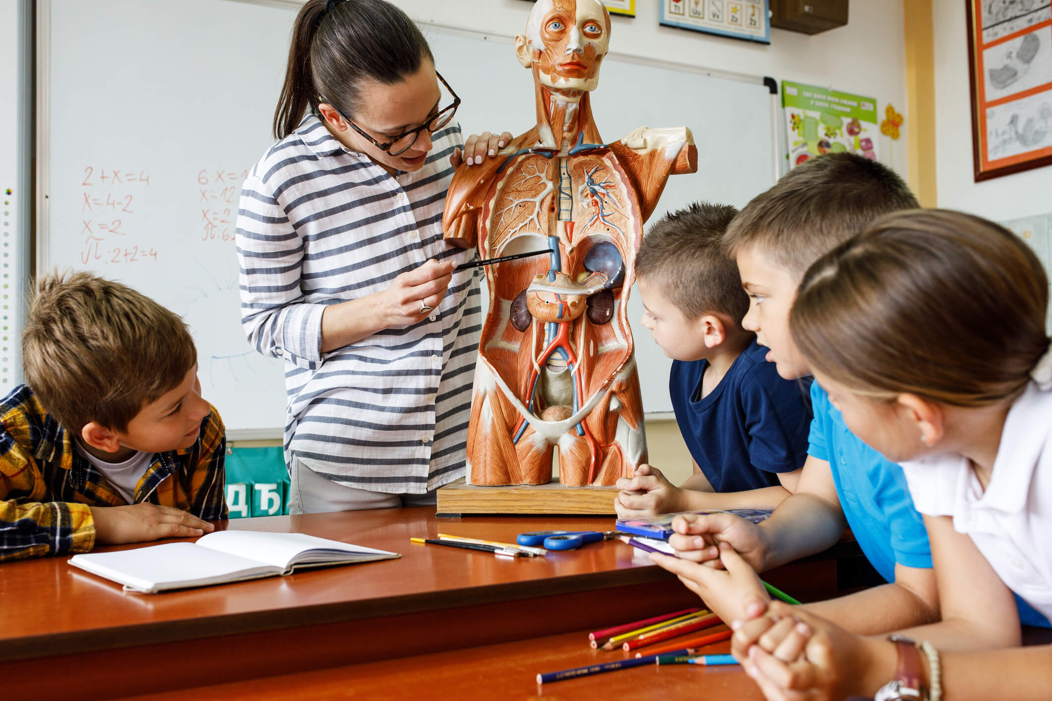Los músculos del cuerpo humano explicados para niños - Fuente: iStock
