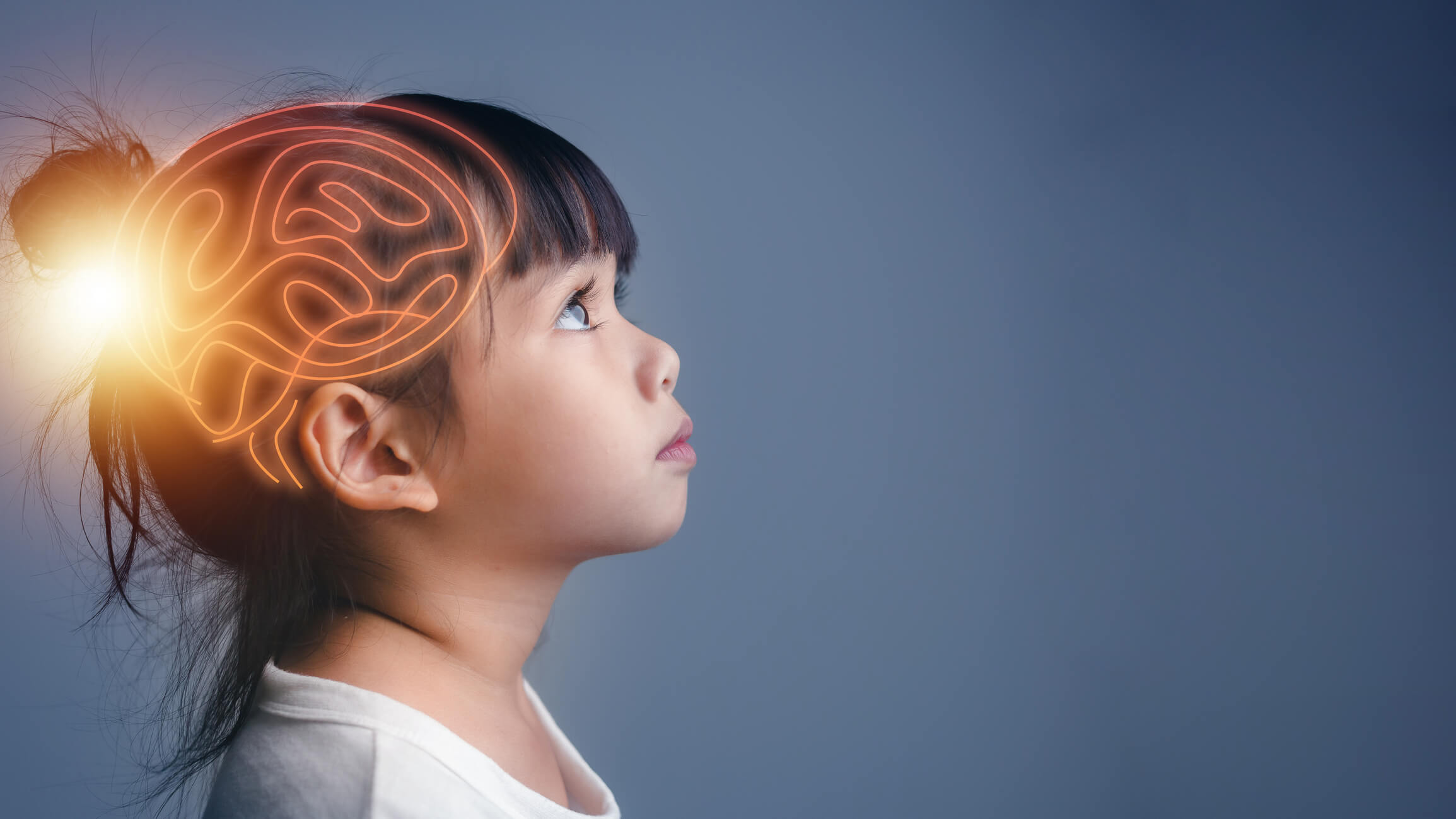 Qué es la poda sináptica en el cerebro