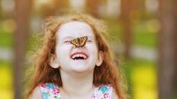 Los animales invertebrados explicados para niños