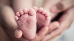 iStock-1018811246