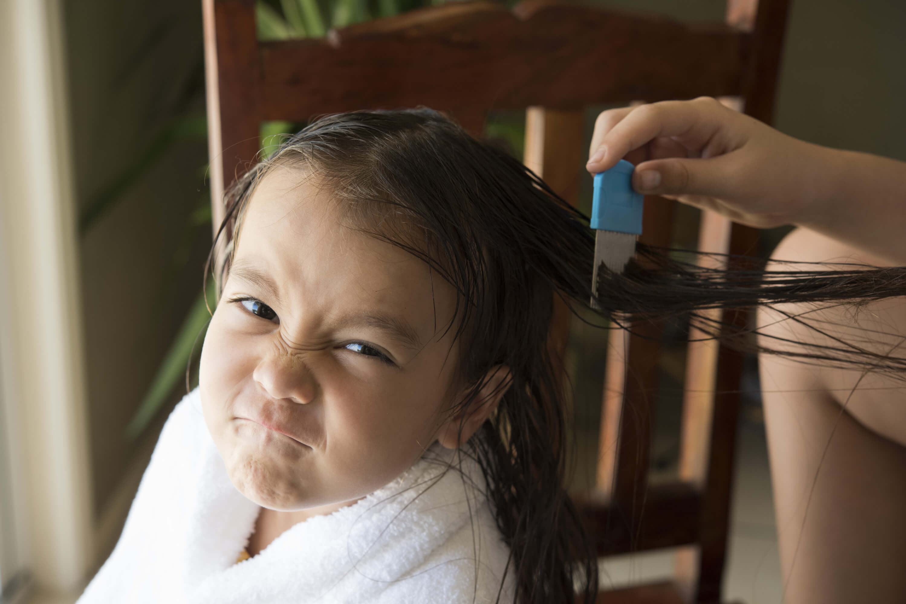 iStock-515199274