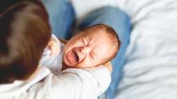iStock-1217996596