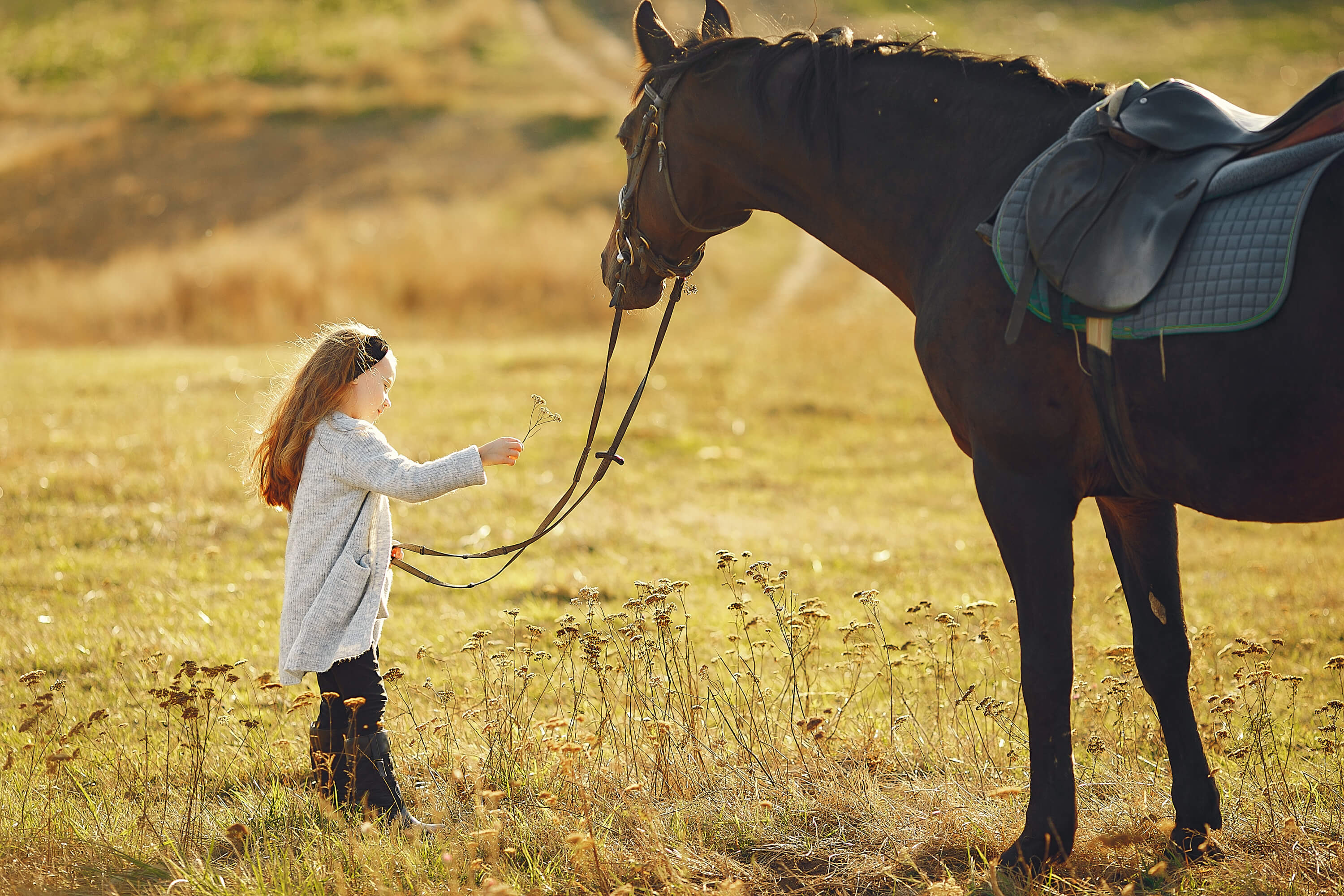 Equitación infantil un deporte que estimula mente y cuerpo