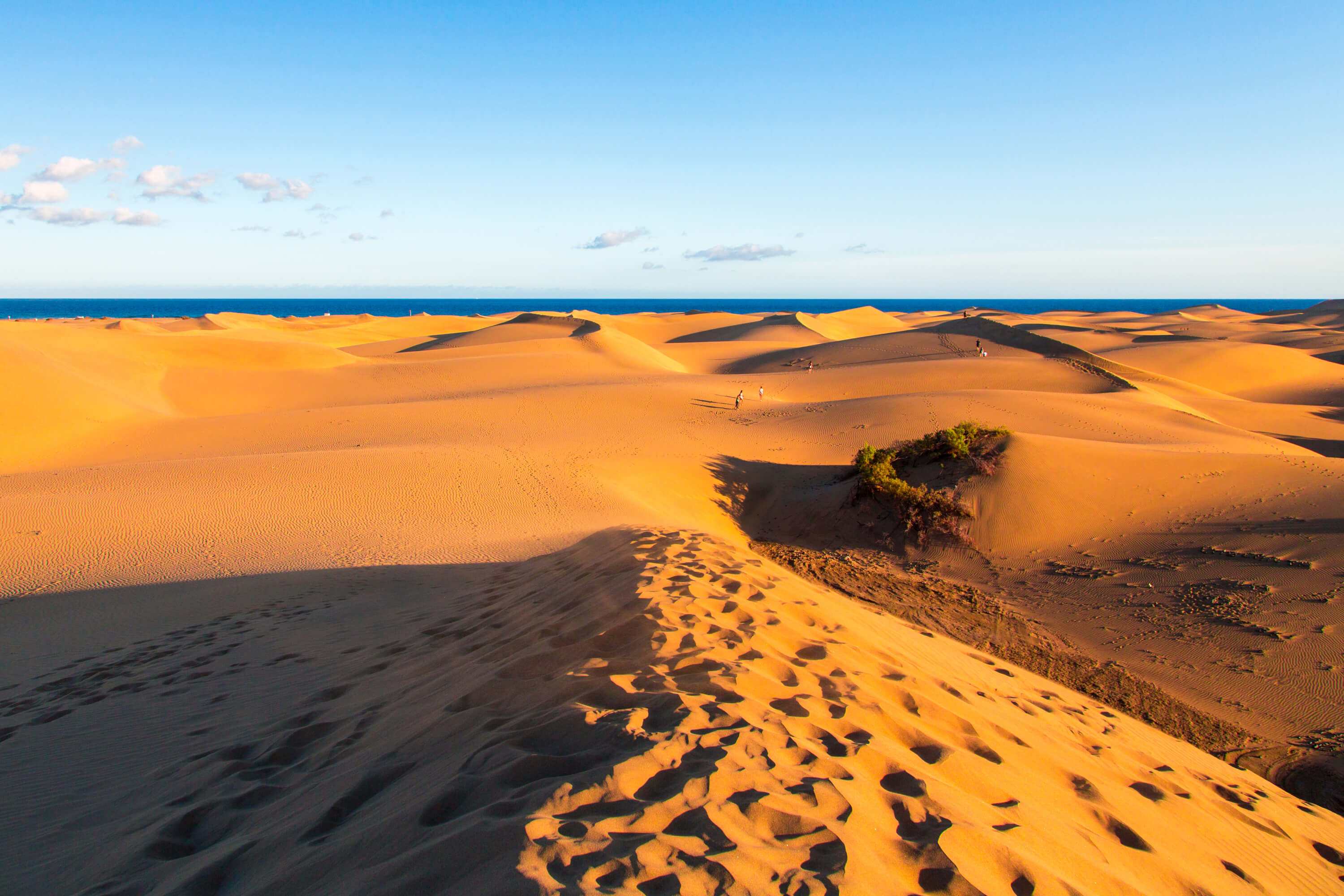 closeup-maspalomas-dunes-gran-canaria-island