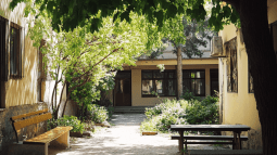 Un patio de un colegio con muchas zonas de sombra y naturaleza