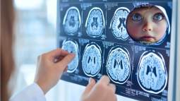 el cerebro de tu bebé