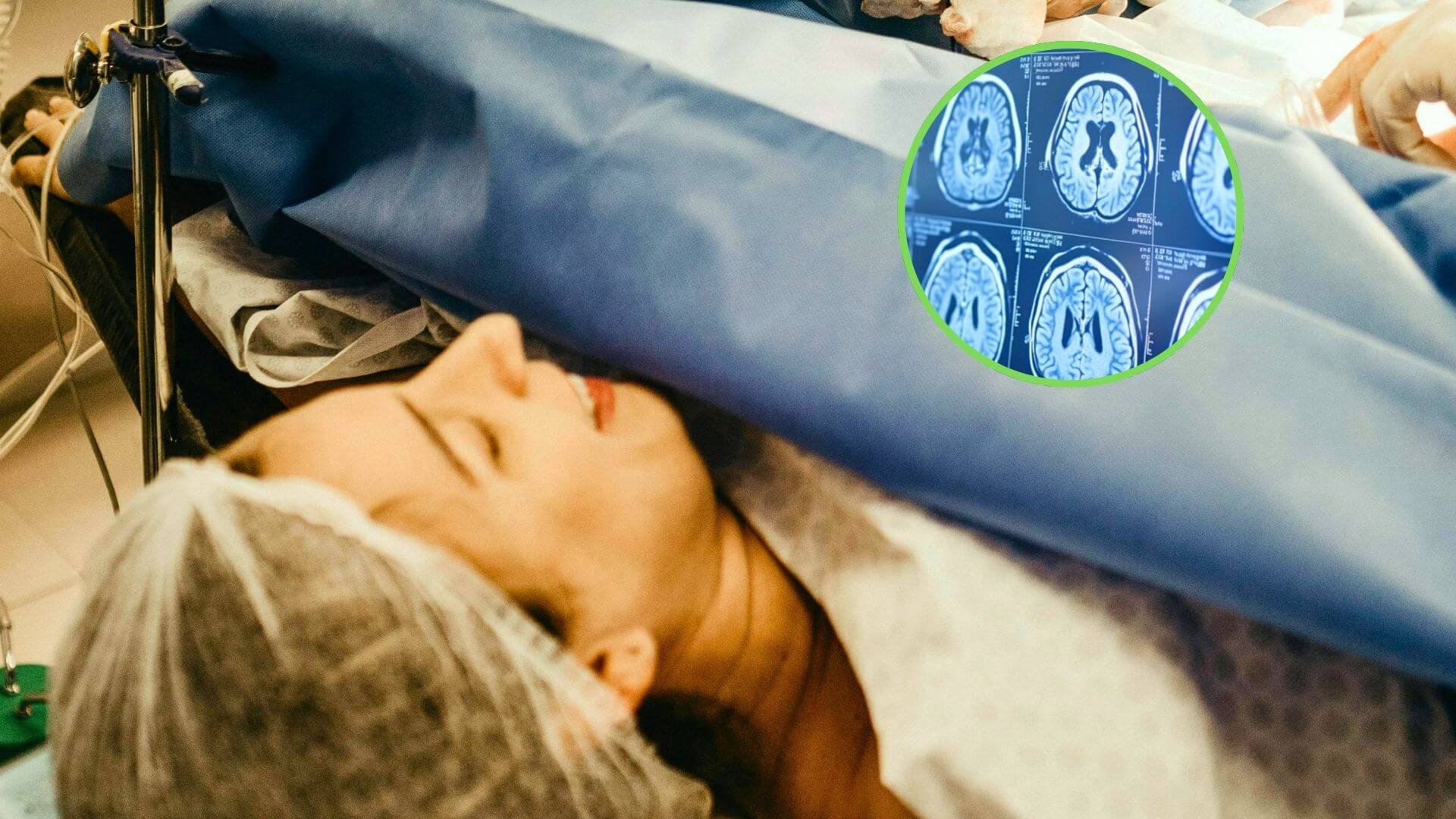 neuroplasticidad del cerebro durante el embarazo