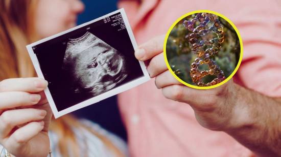 la inteligencia se hereda del padre o de la madre