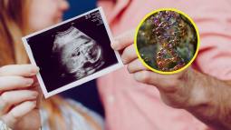 la inteligencia se hereda del padre o de la madre