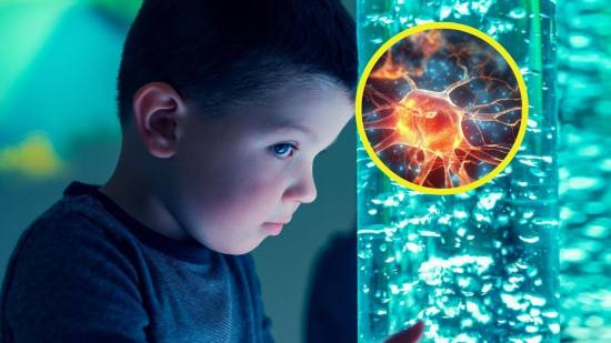 Las adversidad en la infancia impacta en el desarrollo cerebral
