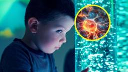 Las adversidad en la infancia impacta en el desarrollo cerebral