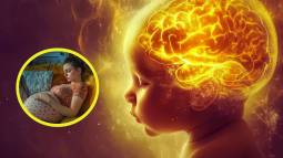 Dos estudios demuestran nuevos hallazgos sobre el impacto de las infecciones maternas durante el embarazo en el desarrollo cerebral de los fetos