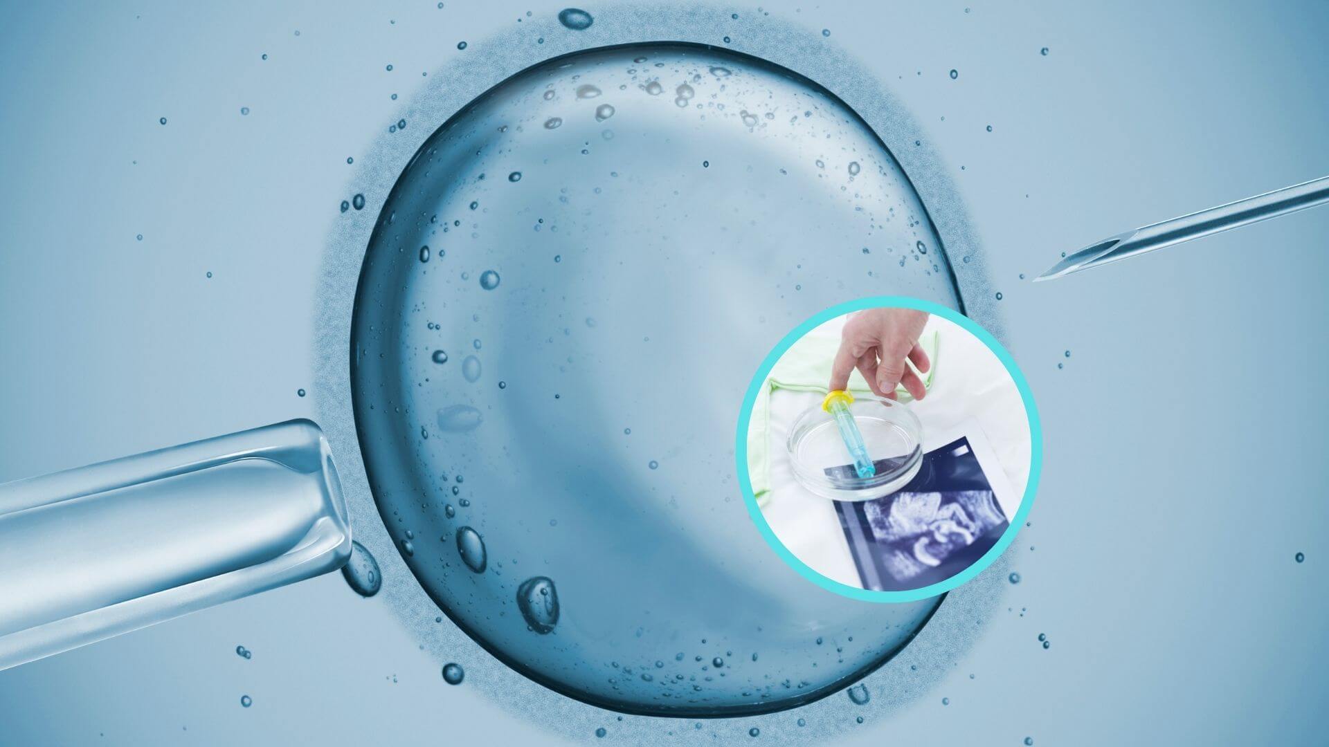 Fertilidad de precisión, así funciona la inteligencia artificial en clínicas de reproducción asistida
