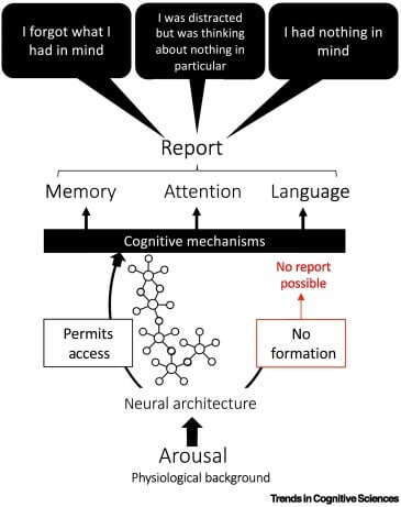 Figura 1. Una explicación fisiocognitiva de la fenomenología de la mente en blanco (MB).