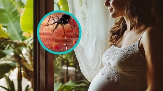 Una mujer embarazada en un entorno tropical: el virus del Zika, transmitido por mosquitos, puede afectar gravemente el desarrollo fetal. Un nuevo estudio internacional cifra con precisión este riesgo.
