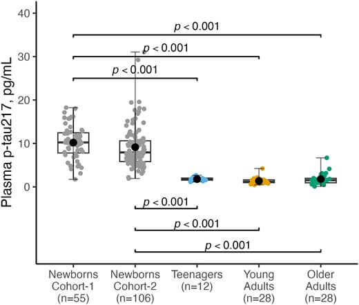 Figura 1.Niveles plasmáticos de p-tau217 en diferentes grupos de edad. La figura muestra una comparación de las concentraciones plasmáticas de p-tau217 (pg/mL) en recién nacidos de la cohorte 1 ( n = 55), recién nacidos de la cohorte 2 ( n = 106), adolescentes ( n = 12), adultos jóvenes ( n = 28) y adultos mayores ( n = 28). Las diferencias entre grupos se examinaron mediante la prueba de Mann-Whitney (dos categorías) o la prueba de Kruskal-Wallis con comparaciones múltiples de Dunn (tres grupos). En cada diagrama de caja, la barra horizontal en la parte superior del área coloreada muestra el percentil del 75%, la barra central representa la mediana y la barra inferior muestra el percentil del 25%. Los valores que están por encima del percentil del 75% y por debajo del percentil del 25% se muestran fuera del área coloreada. Cada punto de datos individual representa las concentraciones plasmáticas de p-tau217 medidas de un solo participante dentro del grupo de edad respectivo.