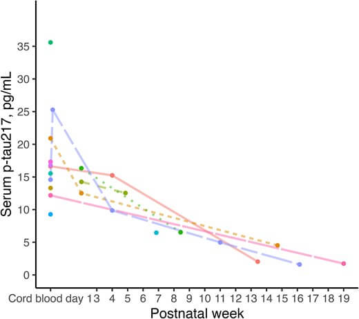 Figura 3. Trayectorias longitudinales de la p-tau217 sérica en prematuros menores de 28 semanas de edad gestacional al nacer. El diagrama de espagueti muestra los cambios longitudinales en los niveles séricos de p-tau217 en prematuros individuales a lo largo del tiempo ( n = 14), medidos en semanas posnatales. Cada curva representa un solo paciente, con puntos que marcan los niveles séricos de p-tau217 en momentos específicos.