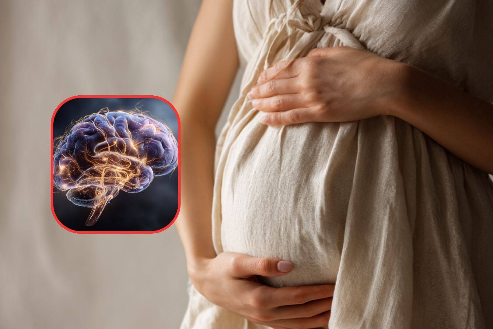Durante el embarazo, la placenta no solo nutre: también produce hormonas que influyen directamente en el desarrollo cerebral del bebé, según revela un nuevo estudio evolutivo.