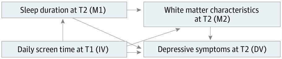 Figura 1. Marco de mediación serial Se muestran las relaciones propuestas entre el tiempo de pantalla en T1 (infancia tardía), la duración del sueño en T2 (adolescencia temprana), las características de la sustancia blanca en T2 y los síntomas depresivos en T2. Las flechas indican la dirección de la relación propuesta. VD: variable dependiente; M1: mediador 1; M2: mediador 2; IV: variable independiente.