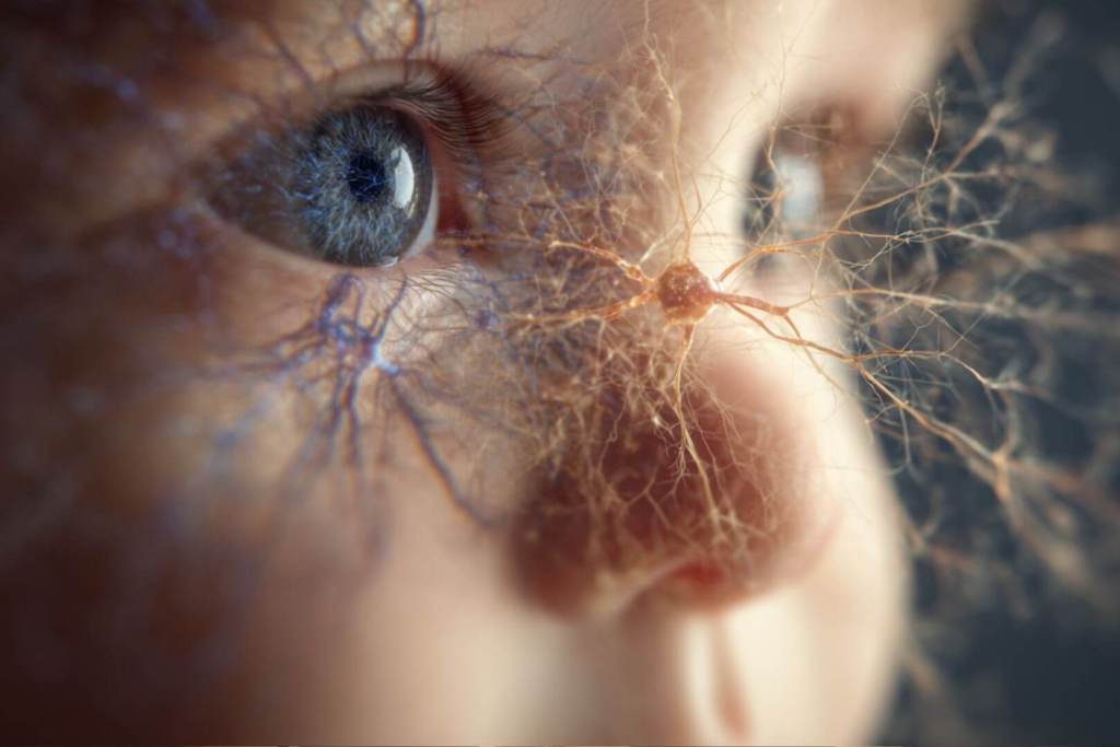 La baja resolución y la falta de color en la visión del recién nacido activan el desarrollo de estructuras neuronales especializadas.