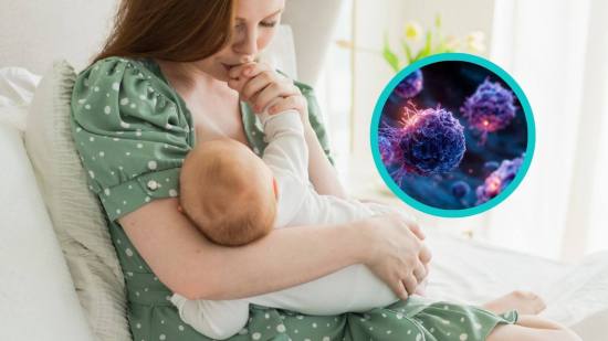 Madre dando el pecho a su bebé en casa, símbolo de la conexión entre lactancia materna y protección inmunológica frente al cáncer de mama. Detalle de células T