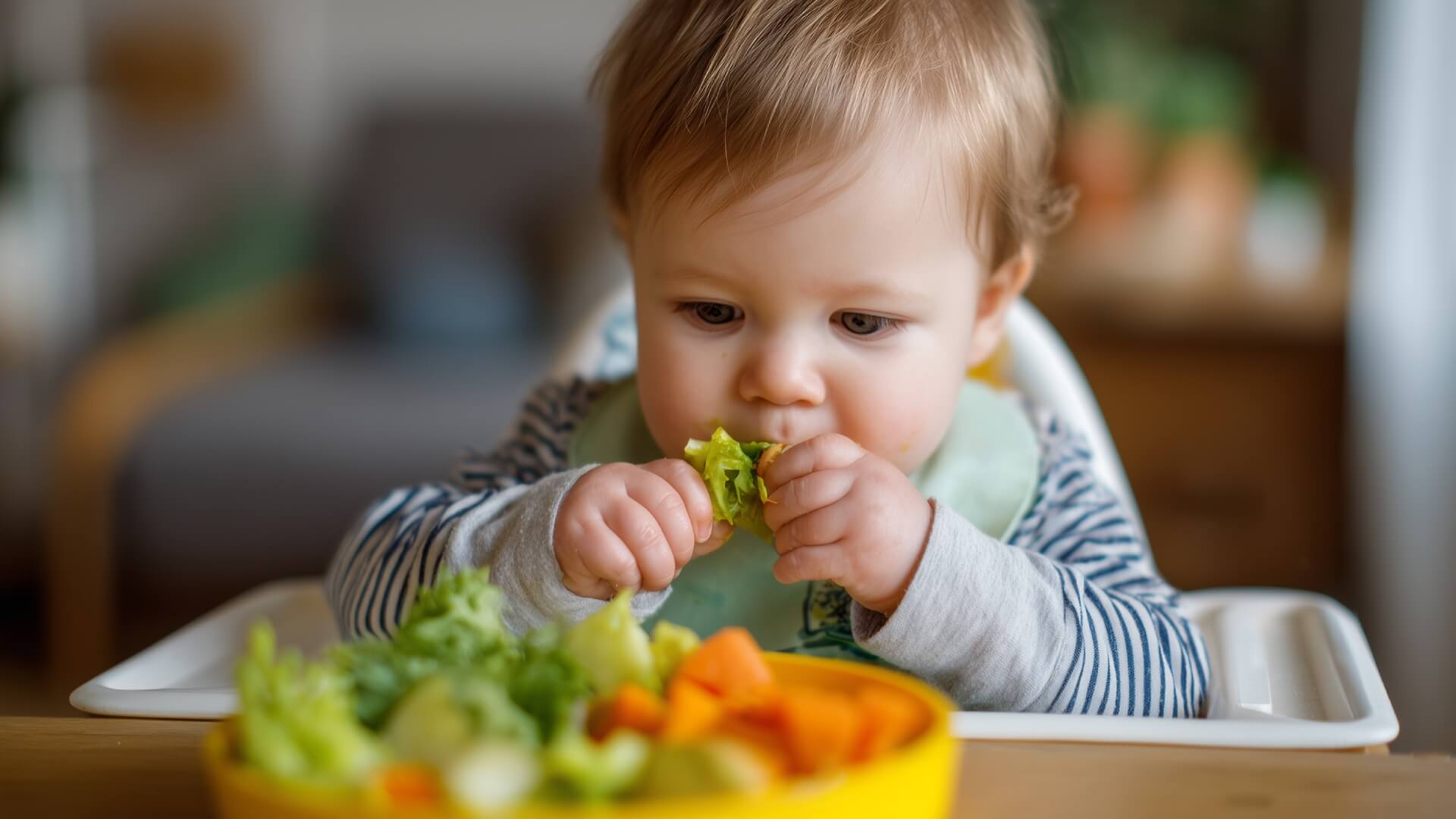 Guía sobre la alimentación complementaria de los bebés